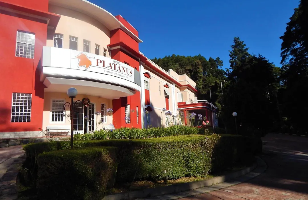 Hotel Platanus-1